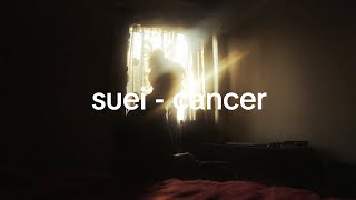 Suei  Cancer [upl. by Corabella538]