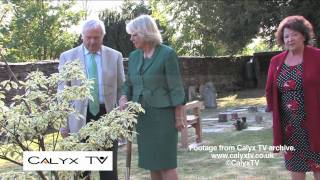 Camilla plants Wedding Cake Tree in Tetbury [upl. by Ehrlich994]