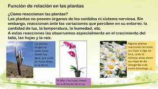 ACTIVIDAD 2 Adaptaciones de plantas y animales [upl. by Absa514]