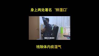 身上两处著名‘排湿口’！祛除体内痰湿气 Eliminate phlegm and dampness in the body [upl. by Fridlund]