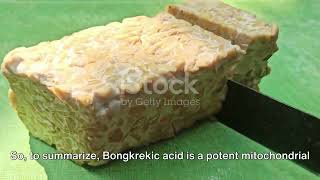 Bongkrekic Acid The Silent Killer in Tempeh Bongkrek [upl. by Gnolb664]