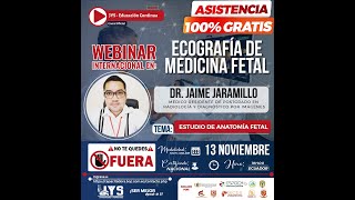 DIA 2  Webinar Internacional en Ecografía de Medicina Fetal [upl. by Nolad]