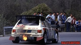 Peugeot 205 T16 Evo2 Gruppo B Pure Engine Sound [upl. by Ahon]