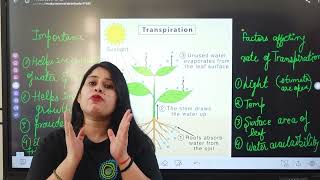 What is Transpiration  science transpiration AnshiClasses [upl. by Inafit5]