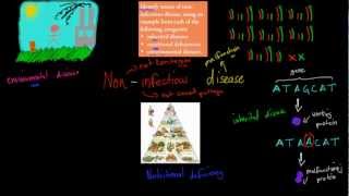 SB63 Types of noninfectious disease HSC biology [upl. by Atiuqa]