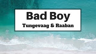 Tungevaag amp Raaban  Bad Boy Lyrics  Panda Music [upl. by Ultan]