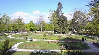 Fête de la Tulipe  Morges [upl. by Patrica]