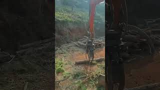 Intelligent Way To Make Use Of Excavator Swiping And Collecting The branches On The Ground [upl. by Arhas]