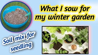 🔴Soil mix for seedling Kitchen gardeningWhat I sow for my winter garden [upl. by Asyram334]