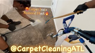 Carpet Stain Removal Hack Great Results Satisfied Customer for the WIN 🍃🍂🍁 [upl. by Jenda]