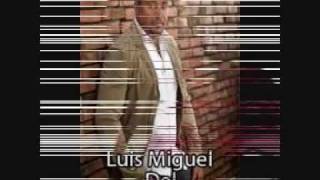 como te quise te olvido  luis miguel del amargue [upl. by Eeryk243]