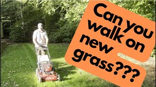 How to mow new grass  Can you walk on it [upl. by Nevla]