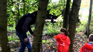 Andy Day joins pupils on woodland walk [upl. by Brezin123]