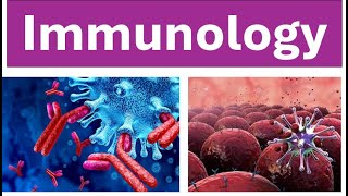 Immunology Made Easy  Immune System Overview immunology [upl. by Ahsekam]