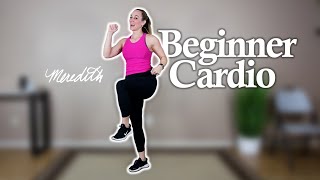 Beginner Low Impact Cardio Workout For Seniors  15 Minutes [upl. by Ignatz]