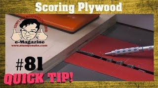 Eliminate tearout by scoring your plywood [upl. by Hsetirp]