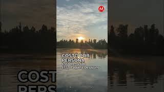 Visita Xochimilco en kayak y olvídate de la trajinera al menos por un rato milenioshorts [upl. by Elyse263]