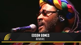 Edson Gomes  Árvore  Ao Vivo Em Salvador [upl. by Hnirt]