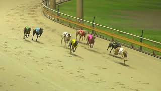 Rockhampton30102024Race7 [upl. by Trebmal]