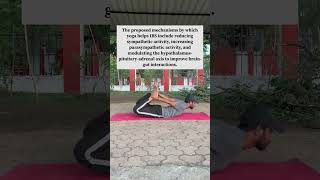 Best Yoga poses to cure Irritable Bowel Syndrome  Yoga for IBS  youtubeshorts ibs shorts [upl. by Aleekahs]