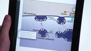 Lippincotts Illustrated Reviews Biochemistry  Harvey amp Ferrier [upl. by Aicilram]