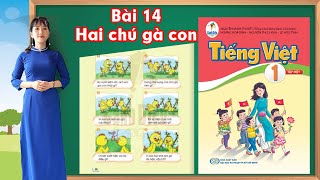 Tiếng việt lớp 1 sách cánh diều  Bài 14 Kể chuyện hai chú gà con [upl. by Rector416]