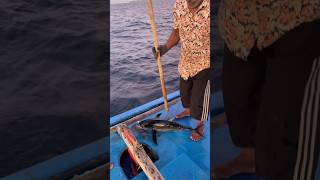 മീനിനെ ബോധം കെടുത്തിയത് കാണണോ shortsfeed malayalamfishing fishing malayalamfishingvideo fish [upl. by Najar]