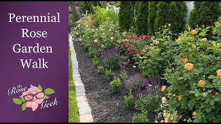 🌹 Perennial Garden Tour near Peak Bloom in Late May  1000 Roses Nepeta Salvia Hydrangea [upl. by Margalo937]