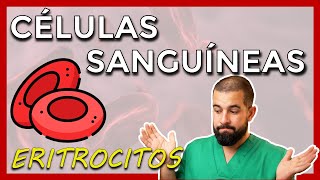 Células sanguíneas – ERITROCITOS – HEMATÍES  GLÓBULOS ROJOS Datos básicos hemoglobina y más [upl. by Zeuqram]