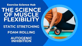 The Science of Stretching Autogenic Inhibition and Static Stretching Explained [upl. by Anilrac696]