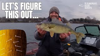 Learning a Large Walleye Lake  Fall on Mille Lacs [upl. by Moersch80]