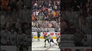 Greenville Swamp Rabbits Hockey countryboyvlogs hockey fyp echl nhl hit [upl. by Akeenahs410]