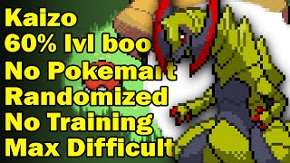 KAIZO IRONMON is the hardest Pokemon challenge [upl. by Aihsercal377]