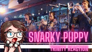 Snarky Puppy  Trinity Extended Version Empire Central Reaction [upl. by Ecinnahs43]