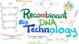 Recombinant DNA technology Biotechnology  Molecular Biology 🧬 amp Biochemistry [upl. by Tani]