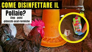 Come pulire e DISINFETTARE Il POLLAIO  ELIMINA PULCI FORMICHEACARIPIDOCCHI [upl. by Aurilia]