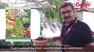 Ornamental Plant Vigore Hindi [upl. by Eisen]