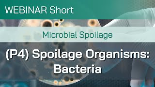 Webinar Short Microbial Spoilage Part 4 Spoilage Organisms – Bacteria [upl. by Remde]