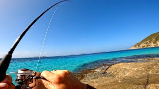 Squid and King George Whiting Catch and Cook [upl. by Ricardama]