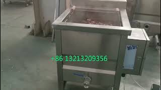 Small size electricity blanching machine for vegetable [upl. by Anneis929]