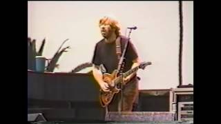 Phish  Bathtub Gin  7201998 [upl. by Sension]