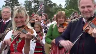 Skandinaviska Hedniska Folkförbundet  Midsummer in Leksand Sweden [upl. by Reste]