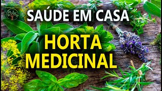 Plantas Medicinais para Plantar em Casa Saúde e Alegria com Sandra Regina [upl. by Clifton]