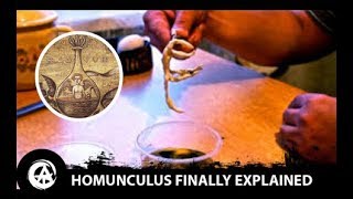 What Even is a Homunculus How to Create a Homunculus Using Alchemy [upl. by Saiff305]