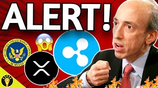 🚨Will the SEC Appeal Ripple Case Ruling amp CRASH XRPs Price [upl. by Danas507]