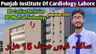 Punjab Institute Of Cardiology PIC Lahore Admission 2024 l PIC BS Cardiac Perfusion BS MLT 2024 [upl. by Aisaim750]