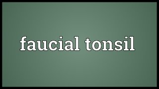 Faucial tonsil Meaning [upl. by Adnarrim]