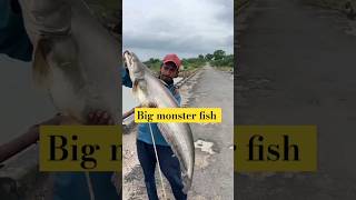 Big pathan wallago fish 🐠 fishing carpfishing shortsviral viralvideo trendingshorts [upl. by Ahsikat]