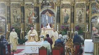 Episcopia GrecoCatolică de Oradea Live Stream [upl. by Indys]