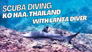 Scuba Diving at Ko Haa Thailand Andaman sea with Lanta Diver [upl. by Romy]